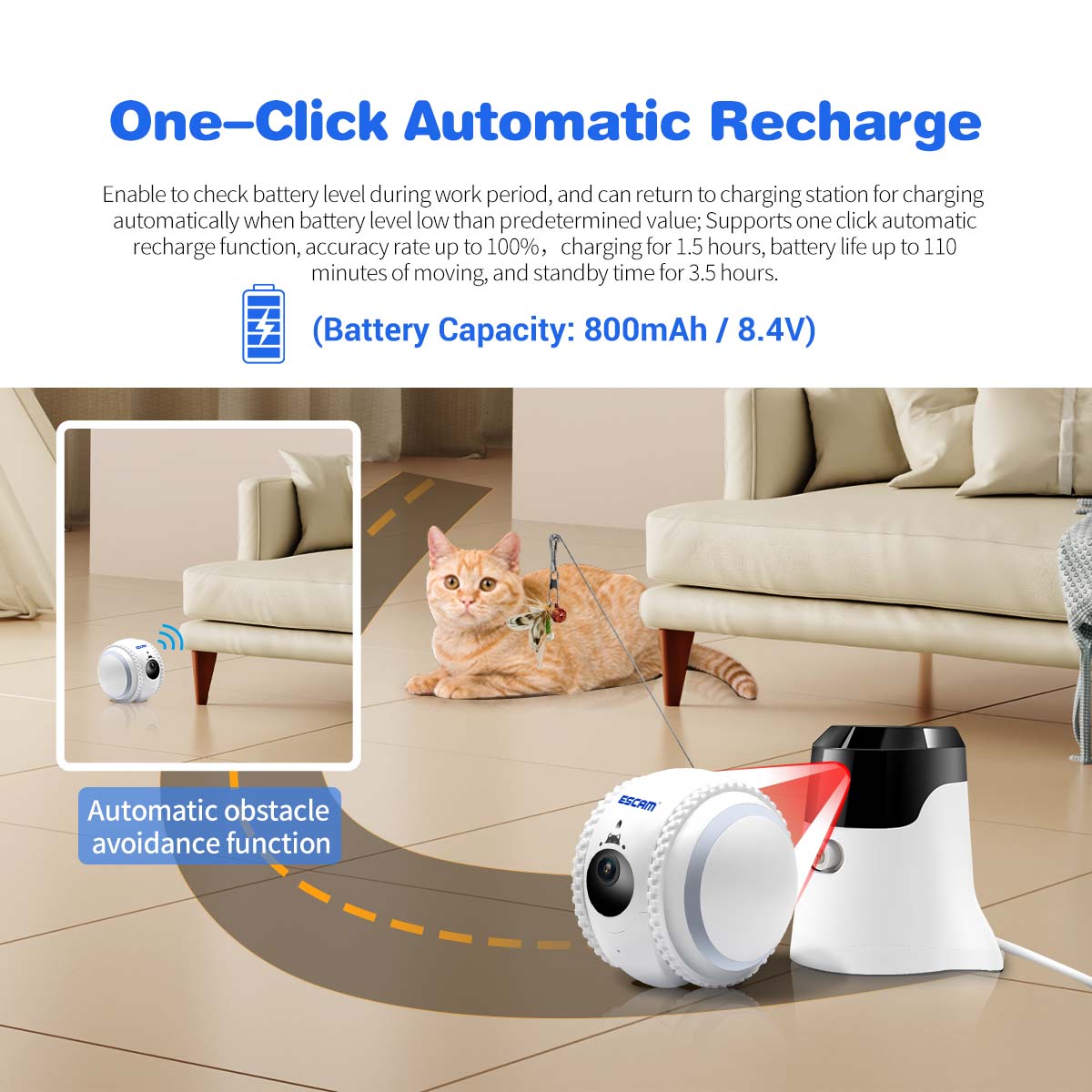 Pet camera guards home and pet, capture lovely moments of pets remotely