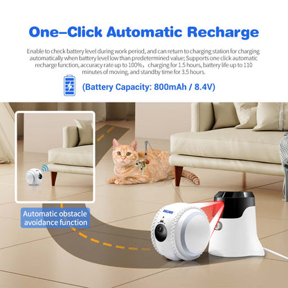 Pet camera guards home and pet, capture lovely moments of pets remotely